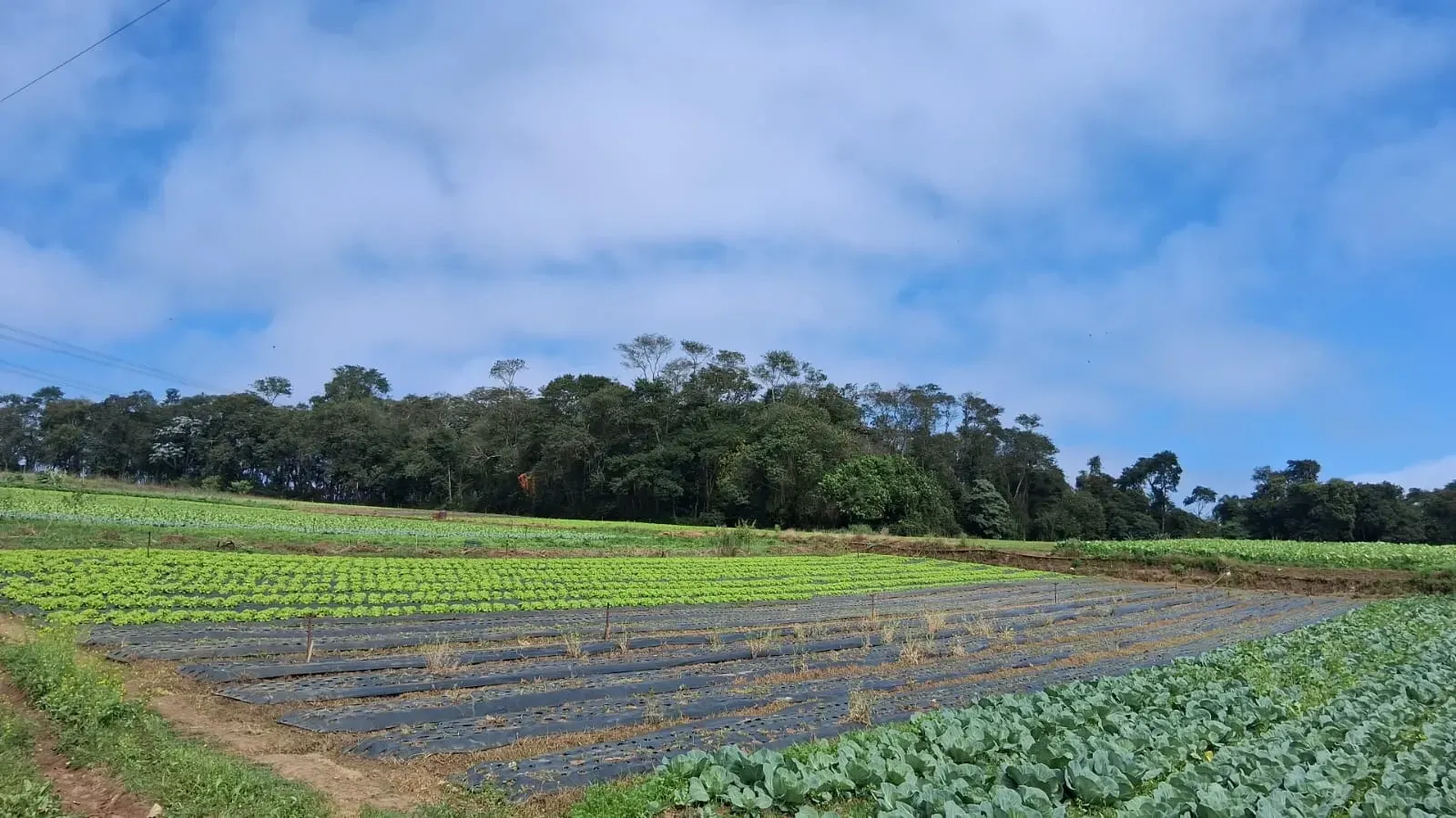 Imagem Terreno à Venda, 186.000 m² em Pirituba - Arujá