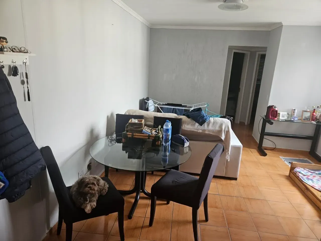 Imagem Apartamento com 2 Quartos à Venda, 50 m² em Jardim Maristela - São Paulo