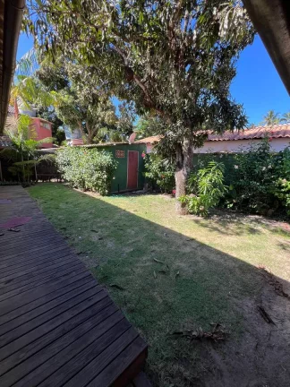 Imagem Raridade em Barra Grande