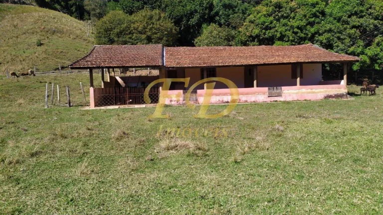 Imagem Fazenda em Piracaia