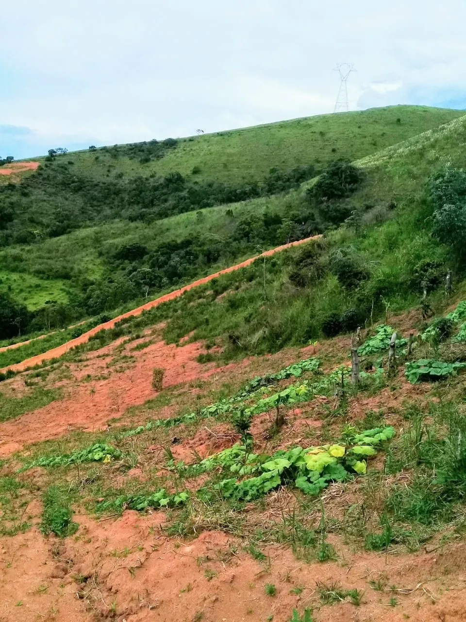 Imagem Chácara à venda 20000M², Mandú, Pindamonhangaba - SP
