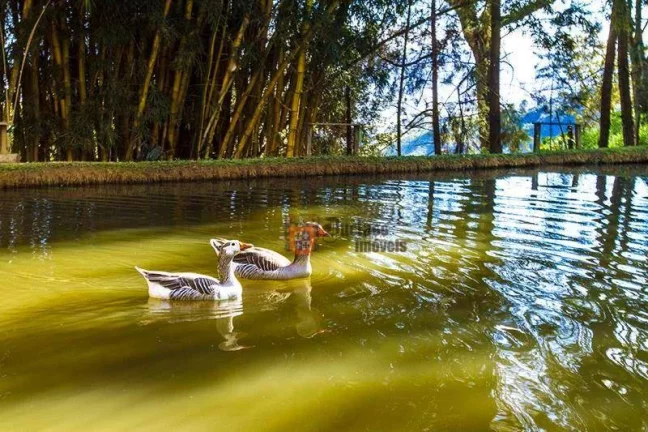 Imagem Pousada à venda, 1000 m² por R$ 3.300.000,00 - Monjolinho - Itapeva/MG