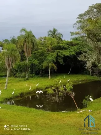 Imagem Sítio/Fazenda a venda 12 hectares, casa com piscina, ótimo investimento em Laguna SC