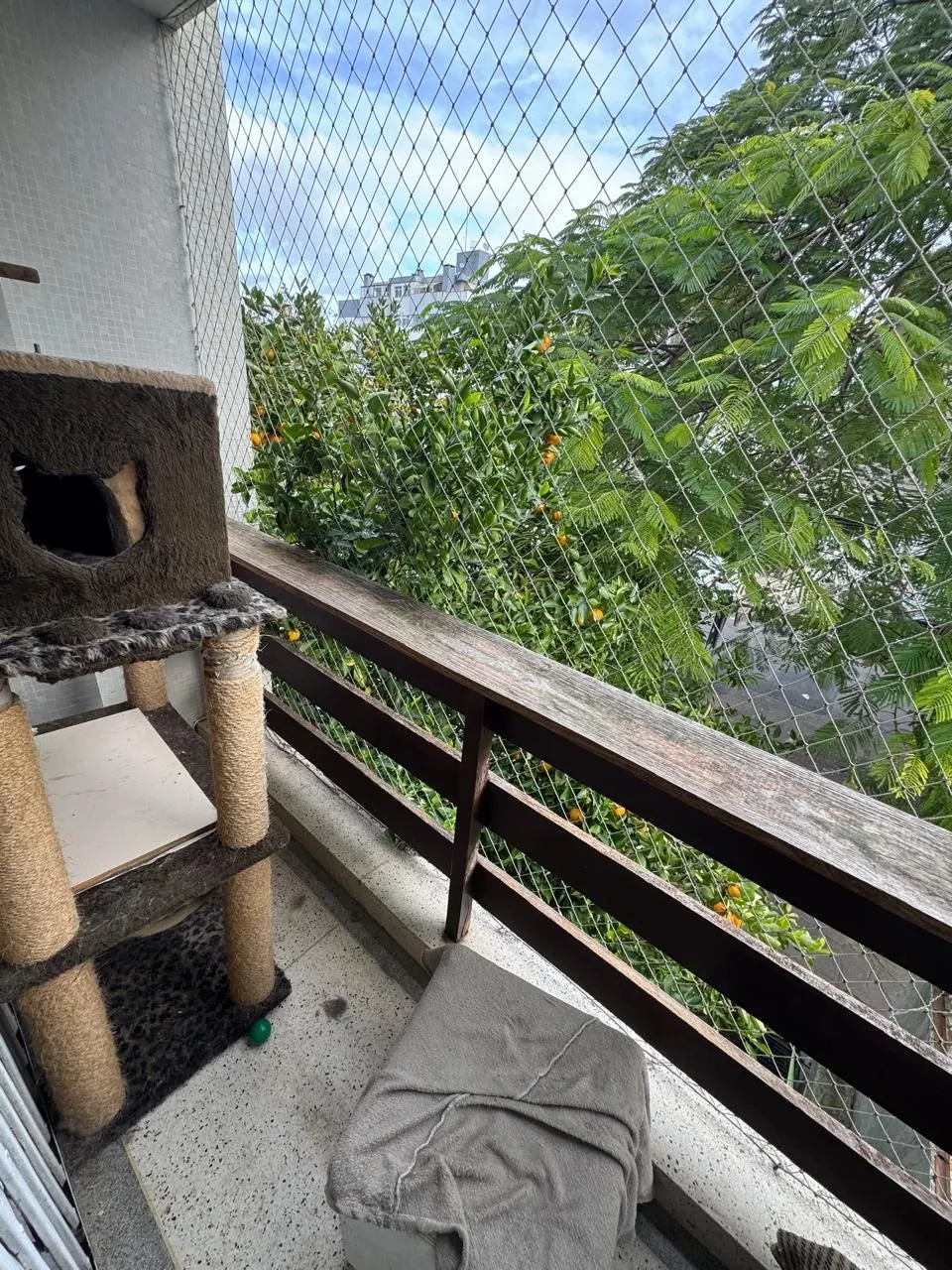 Imagem Apartamento em Azenha