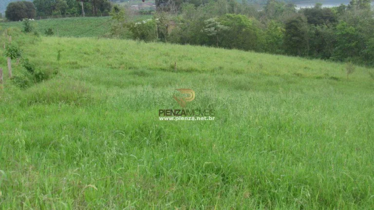 Imagem Terreno para Venda em Concórdia, Rural