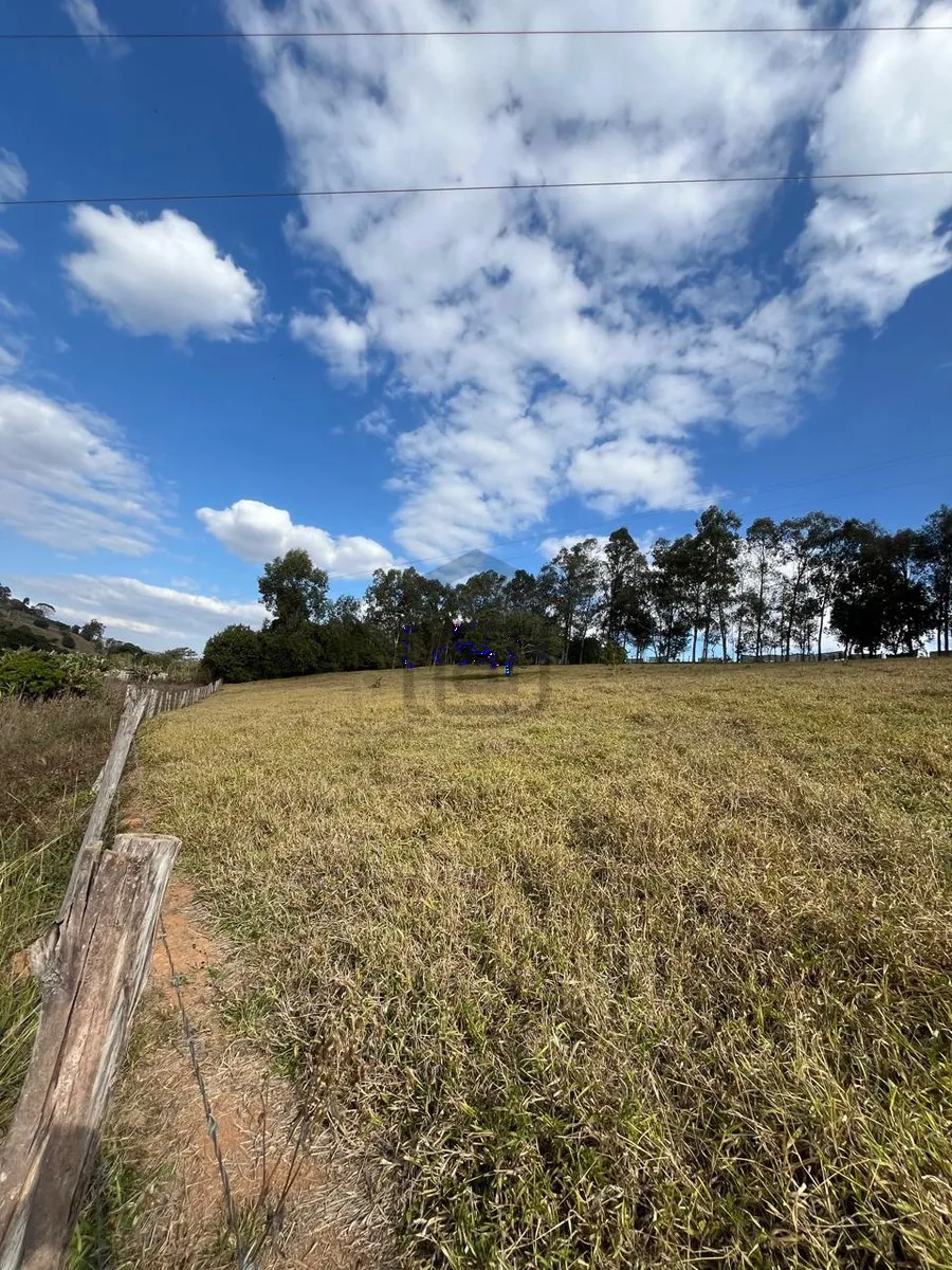Imagem Chácara 24.800 m² à venda em Capituvas, Campestre