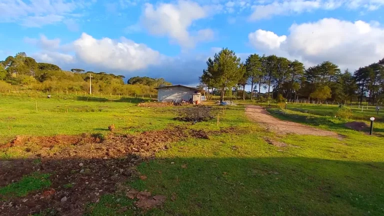 Imagem Chácara para Venda em Tijucas do Sul, Ambrósio