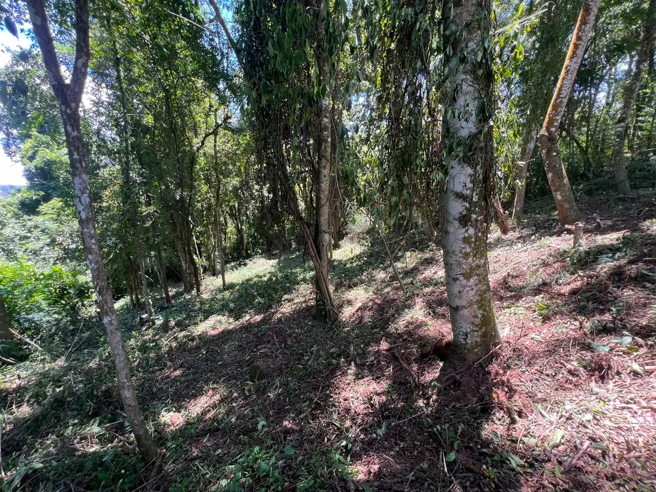 Imagem Terreno à 600mts da Repressa de Itupararanga no Loteamento Saveiros de Ibiúna