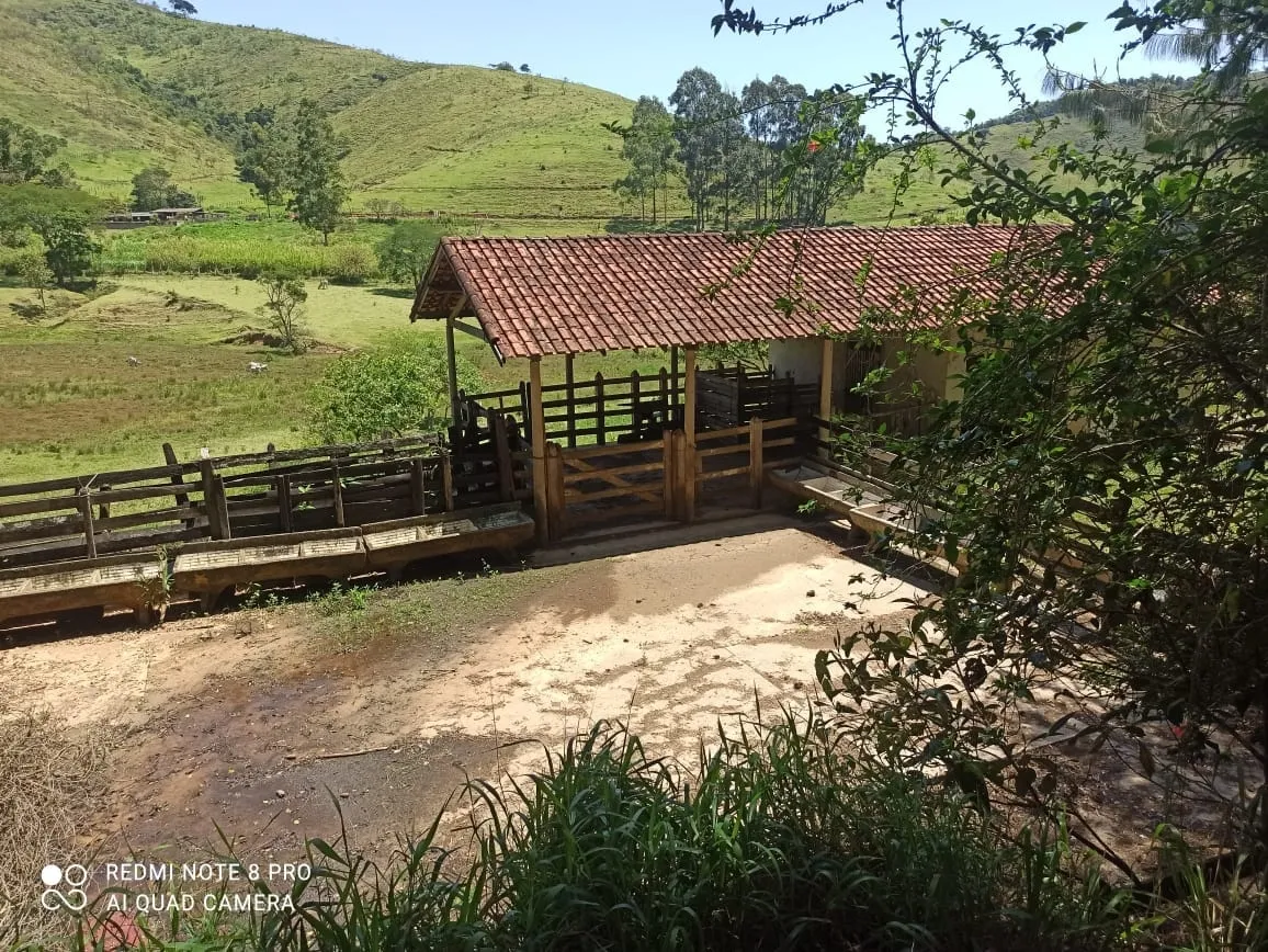 Imagem Chácara à venda 2 Quartos, 314600M², Pouso Frio, Pindamonhangaba - SP
