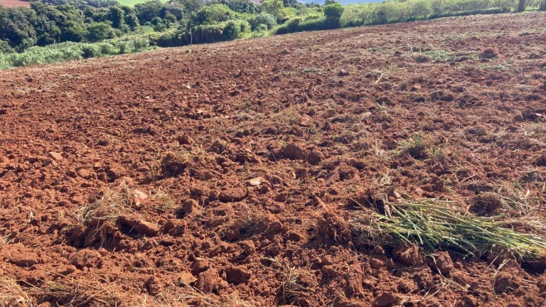 Imagem Sítio Braganca Paulista 5 alqueires plano!