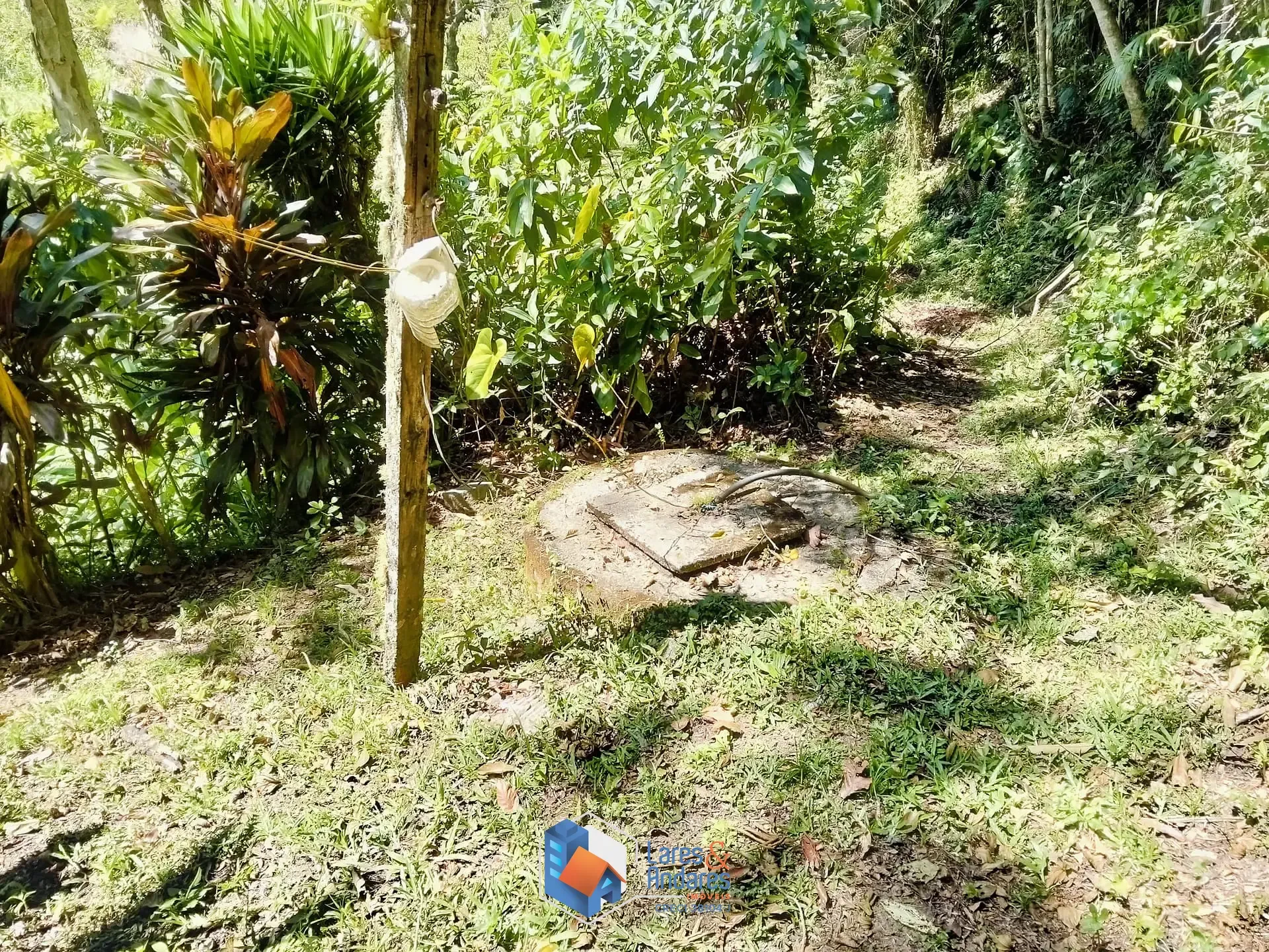Imagem ARRENDAMENTO DE SITIO COM NASCENTE, ÁREA PARA PLANTIO, CASA COM 3 DORMITÓRIOS, CASEIRO, COM MAIS DE 40.000 METROS IDEAL PARA ONGS - SÃO LOURENÇO DA SERRA.