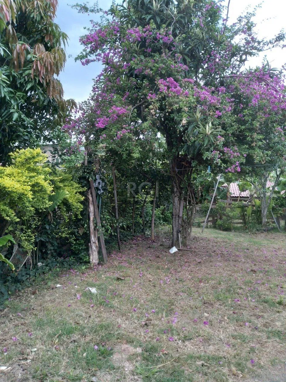 Imagem Casa em Belém Novo