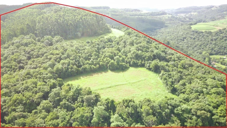 Imagem Área Agrícola para Venda em Concórdia, Concórdia