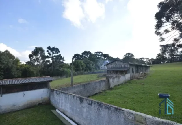 Imagem Área de 24.800m2 na Rodovia BR 116 (Regis Bitencourt) em Curitiba/PR