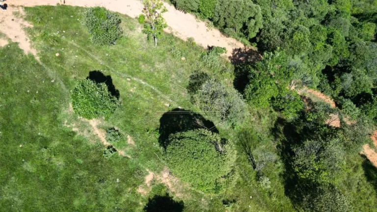 Imagem Oportunidade de Terrenos na serra