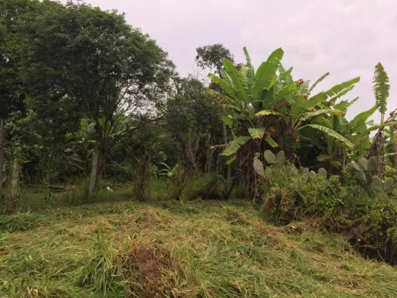 Terreno à Venda, 43.500 m² em Vila Andrade - Mogi das Cruzes