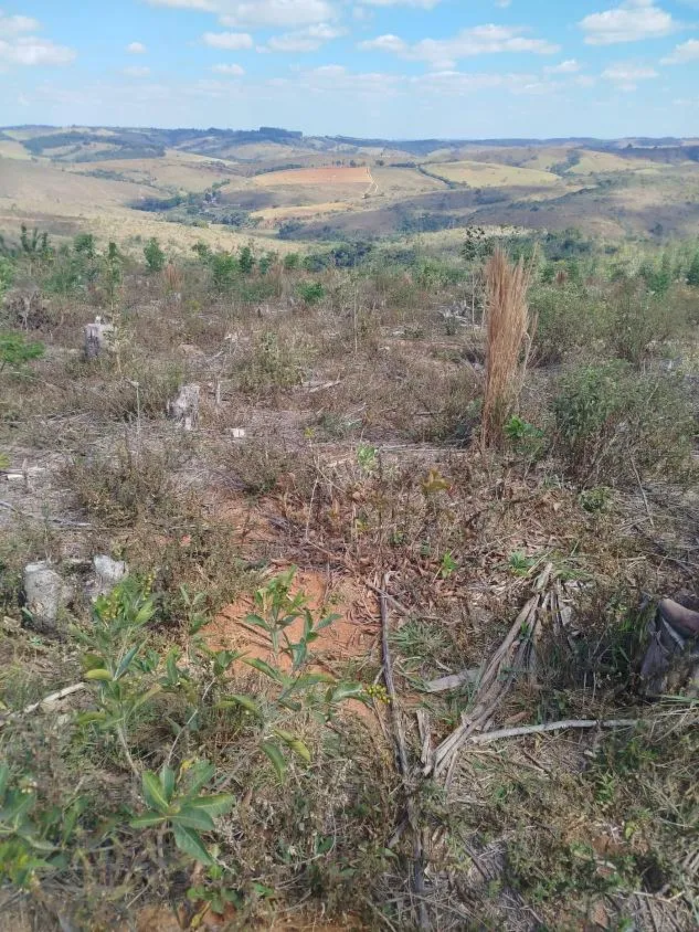 Imagem Vendo uma excelente fazenda em Oliveira / MG 100 hectares de área total;