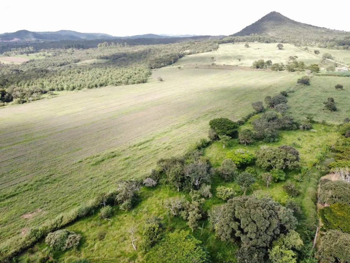 Imagem FAZENDA DE ALTO PADRÃO À VENDA - CARMO DO CAJURU (MG) 120 hectares de área total