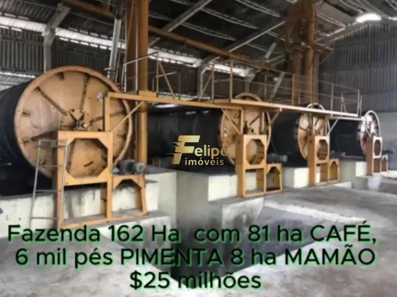 Imagem FAZENDA DE ALTO PADRÃO EM EUNÁPOLIS/BA 162 HECTARES DOCUMENTADOS 81 há de CAFÉ.