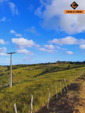 Imagem FAZENDA EM MATA DE SÃO JOÃO