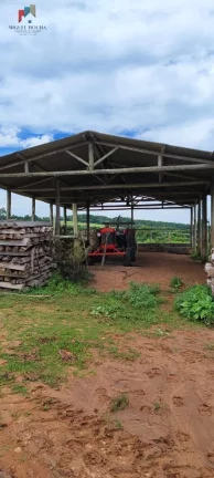 Imagem Fazenda a venda São Miguel Arcanjo SP