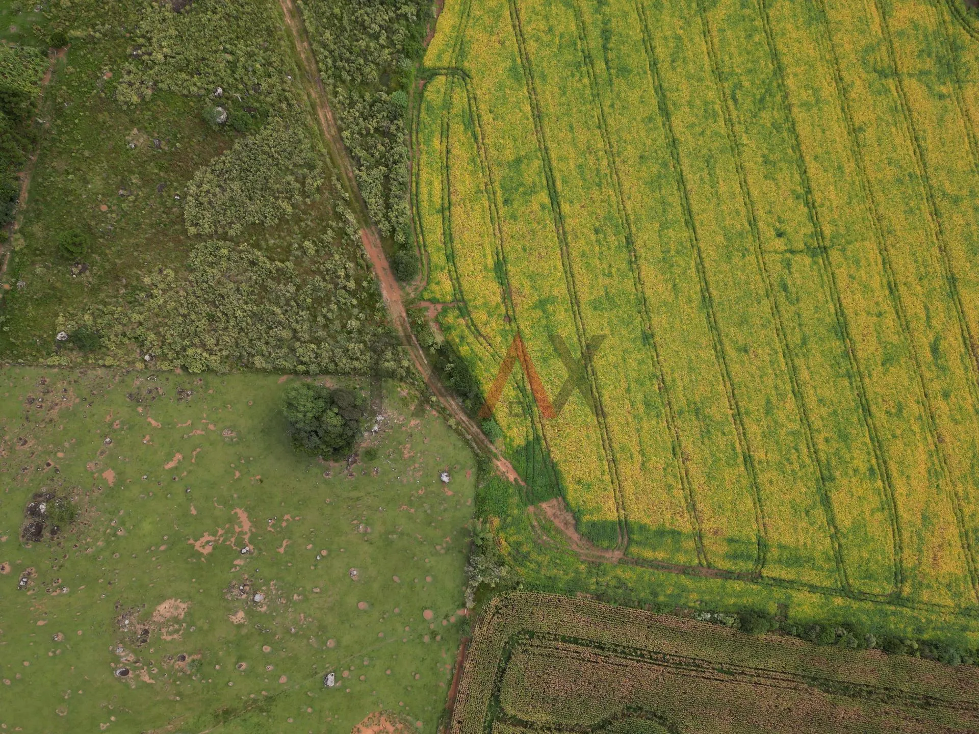 Imagem Chácara com 1.210.000,00m as margens da BR-277 em GUARAPUAVA - PR