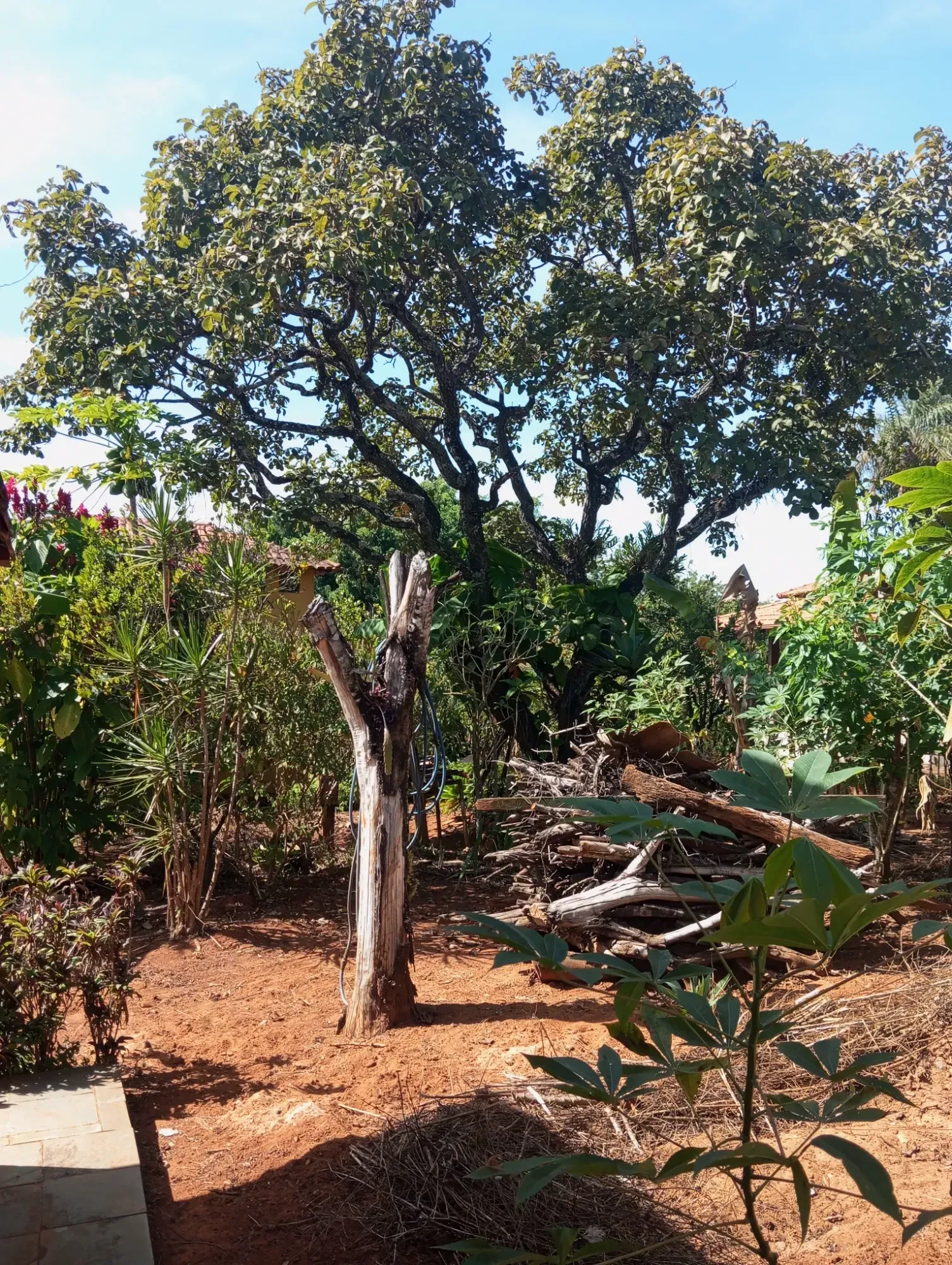 Imagem Chácara com 1 Quarto à Venda, 1040 metros em  - Igarapé / MG