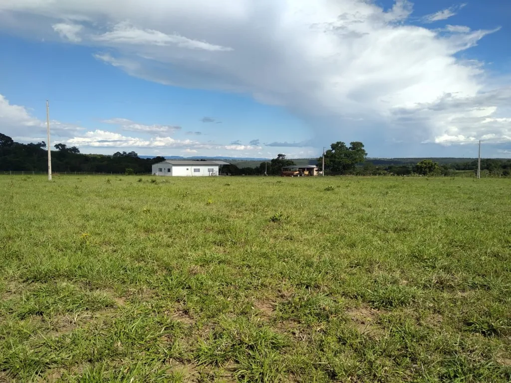 Imagem Fazenda de Rio Negro Mato Grosso do Sul-MS, Farms for sale in Brazil, farms in Brazil, Brazil farms