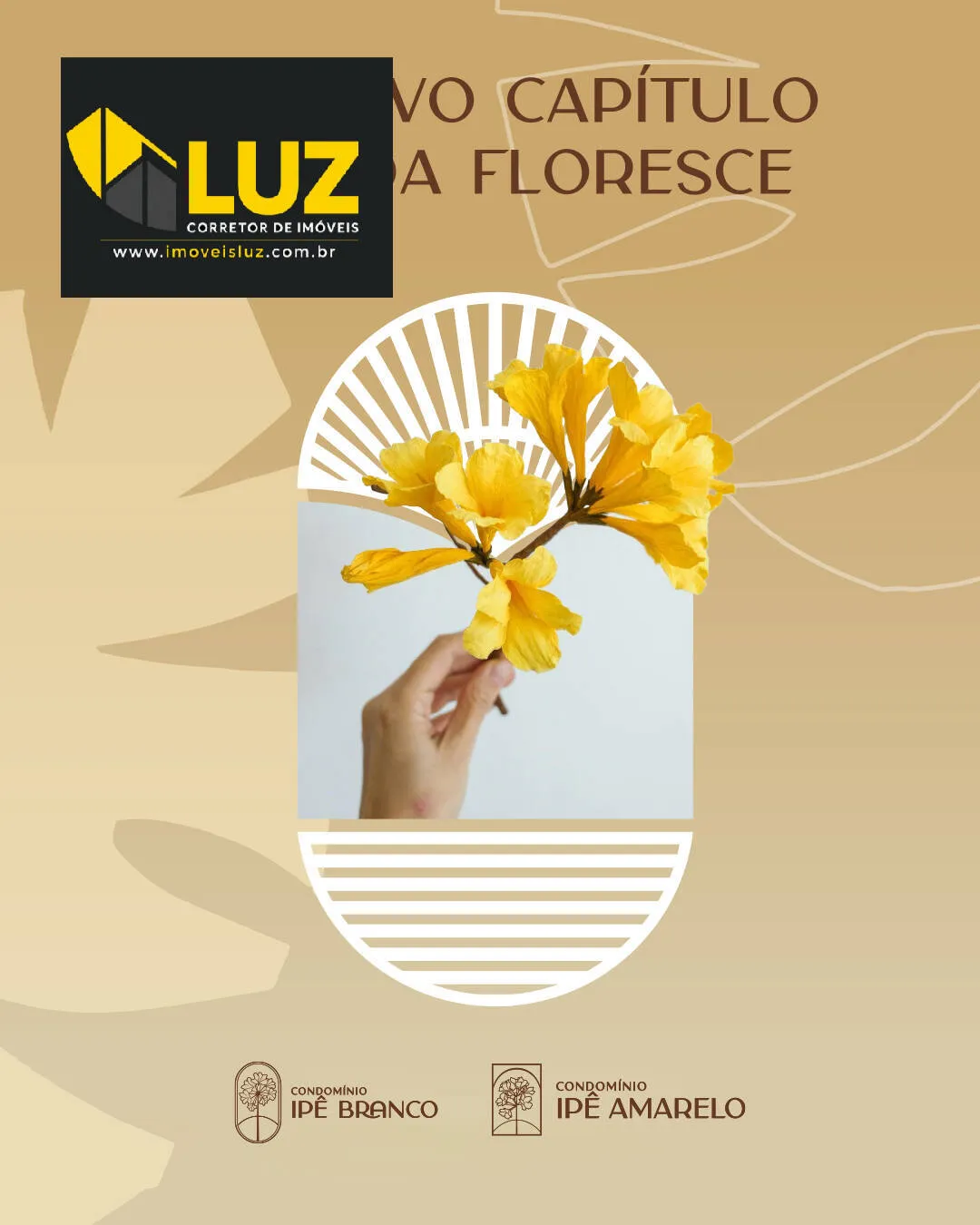 Imagem CONDOMÍNIOS IPÊ AMARELO E IPÊ BRANCO - FORTALEZA