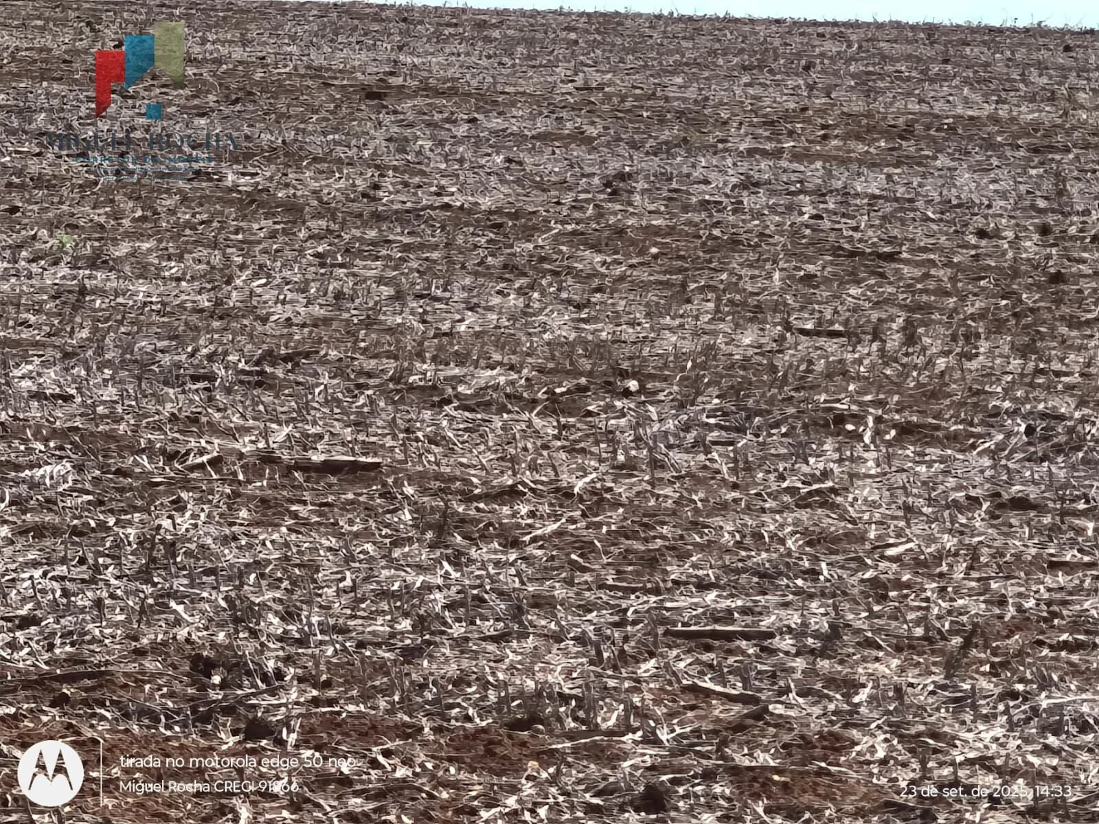 Imagem Fazenda em Tatuí SP