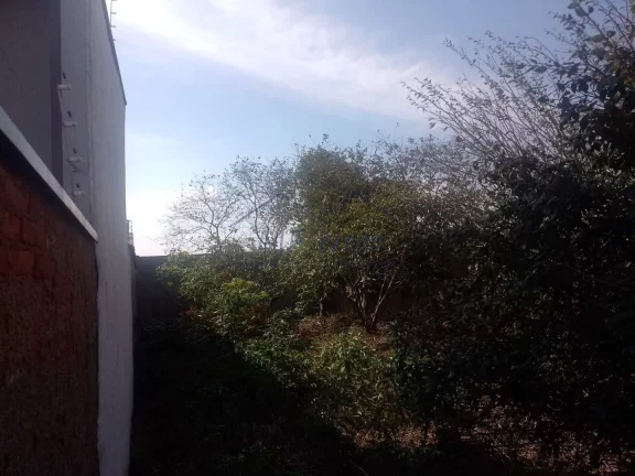 Imagem Terreno Padrão