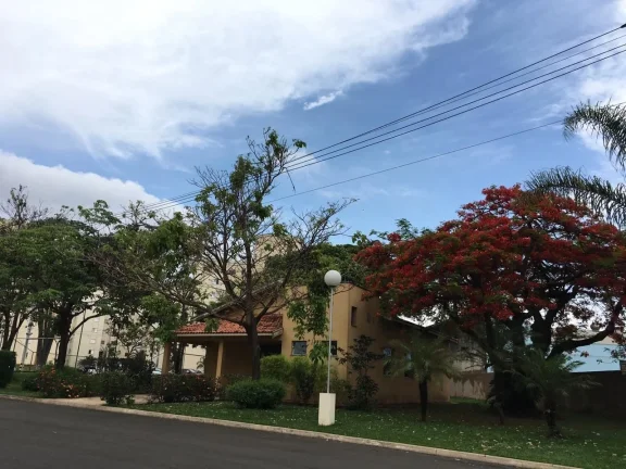 Imagem Apartamento Terreo 2 dorm com armários, sala com rack, cozinha com armários, banheiro; 55 m2 com u...
