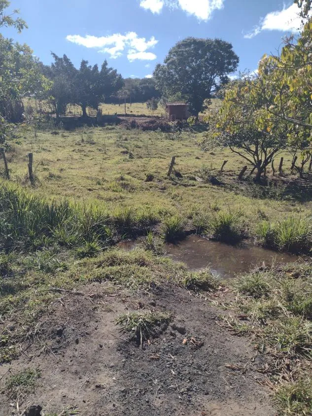 Imagem Vendo terreno em Crucilândia com 48 hectares de terra
