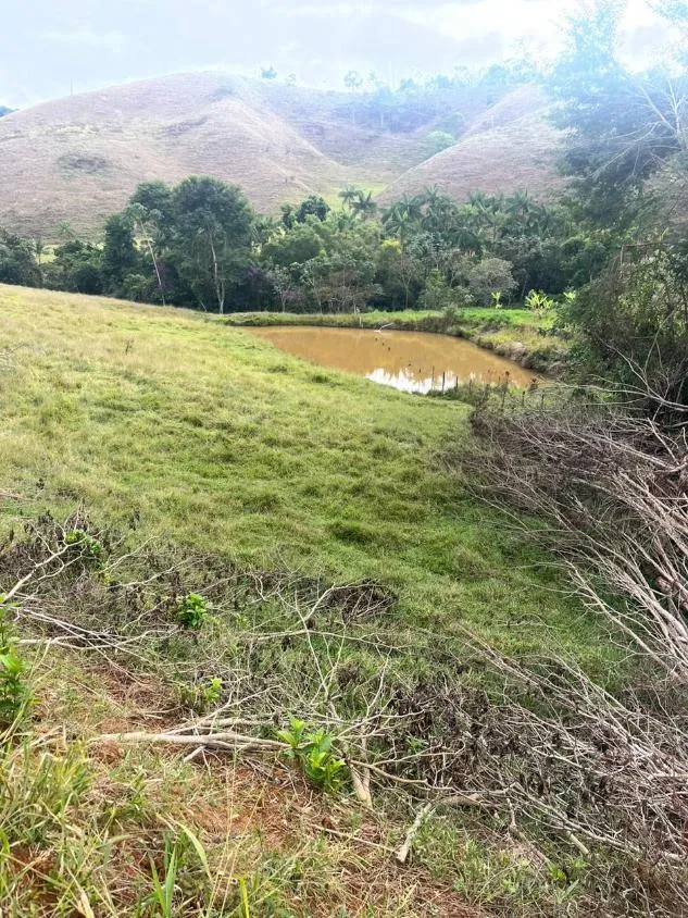 Imagem Terreno à Venda em São Domingos do Prata/MG com 25,5 hectares de terra
