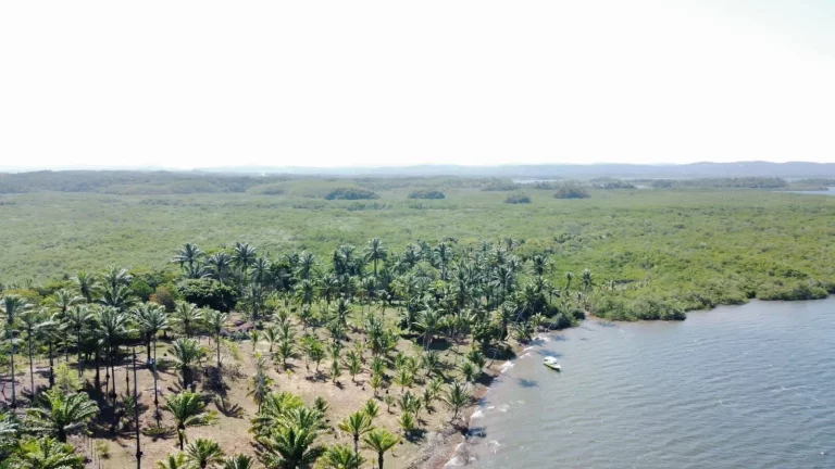 Imagem Barra de Sirinhaem