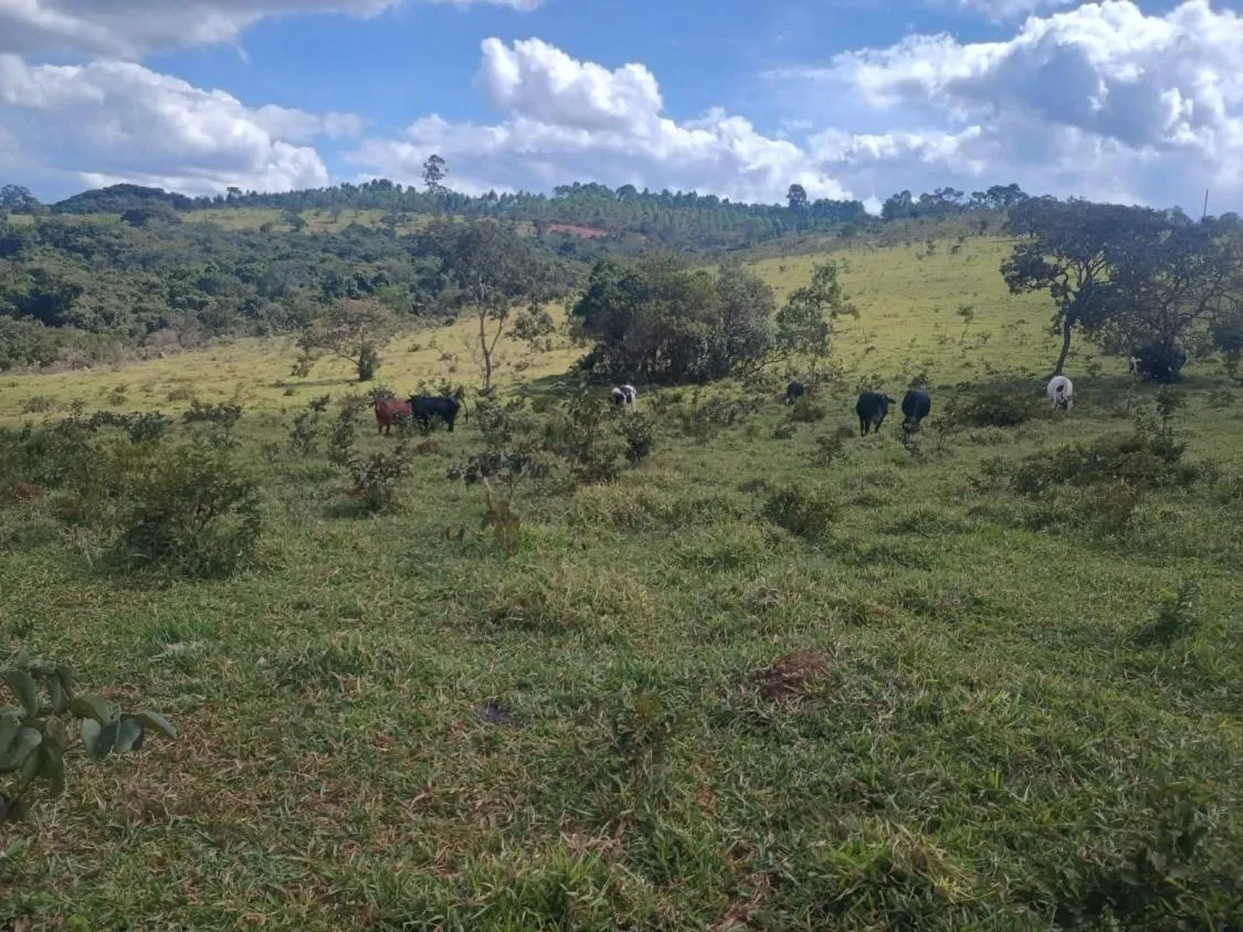 Imagem Excelente terreno rural com área de 10 hectares a venda em PASSA TEMPO/MG