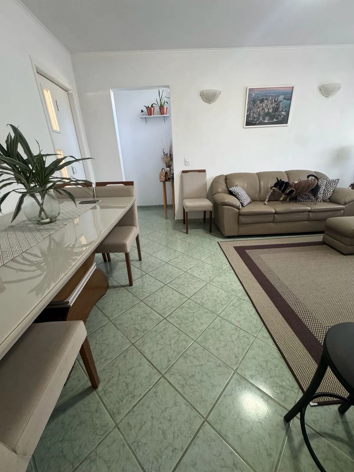 Imagem Apartamento para venda em Vila Campo Grande com 2 quartos, 75m2