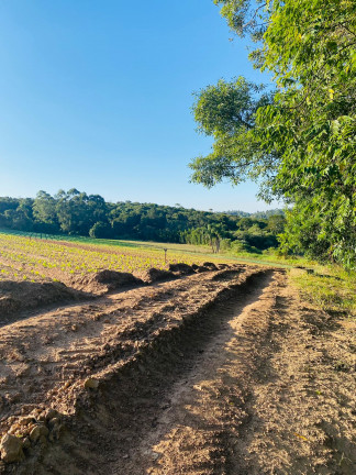 Imagem Chácara à Venda, 1.000 m² em Votora Curral Paruru - Ibiúna