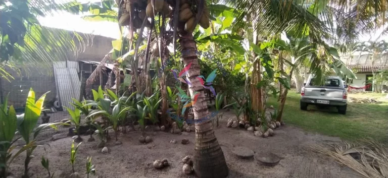 Imagem TERRENO NA PRAIA DE TAPERAPUAN