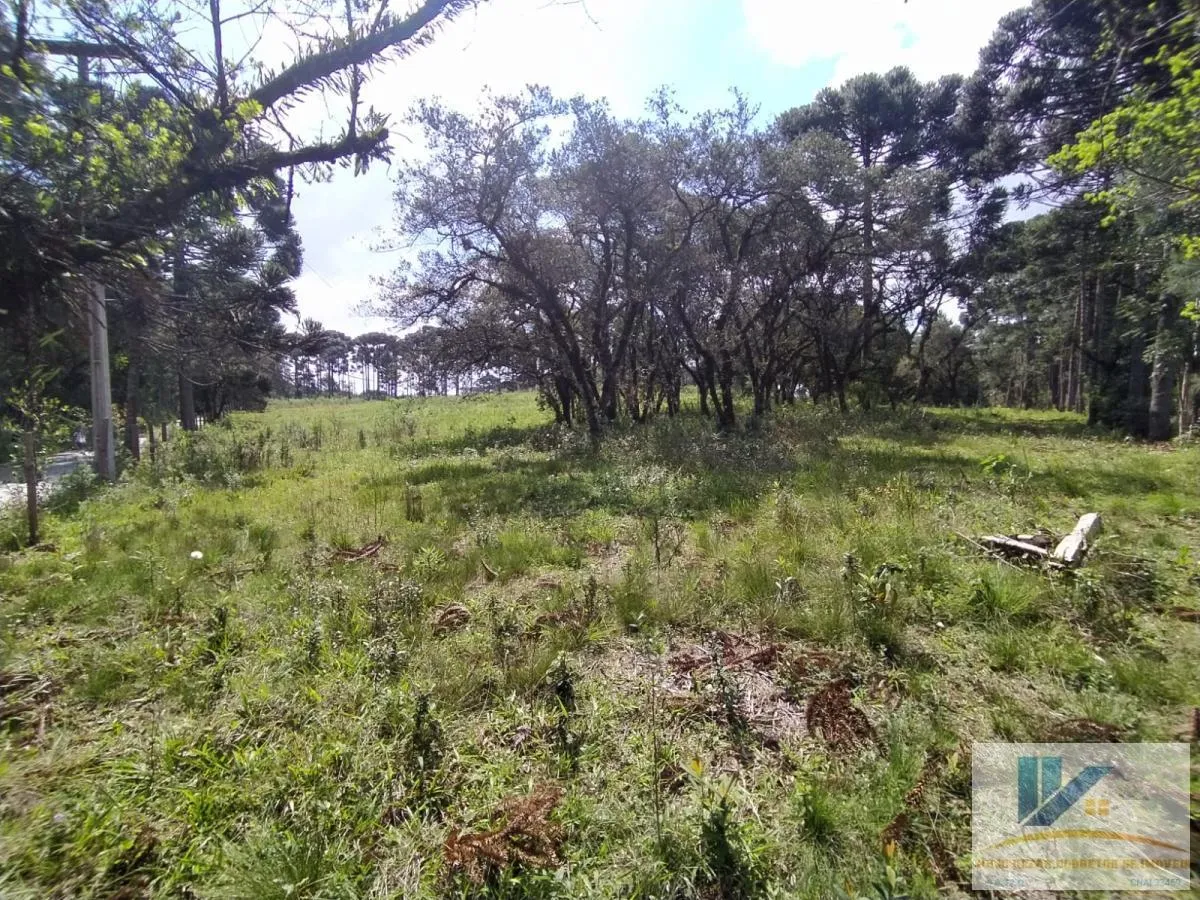 Imagem Terreno para Venda em São José dos Pinhais, Contenda, 1 dormitório