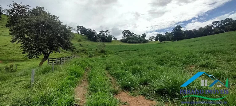 Imagem Invista em Sustentabilidade: Sítio com Nascentes e Preservação