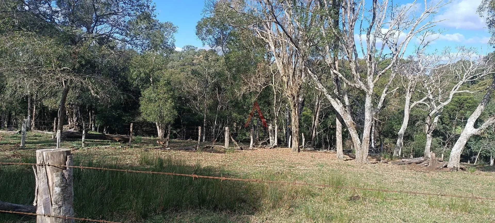 Imagem Chácara à venda com 12,5884 hectares, PALMEIRINHA, GUARAPUAVA - PR