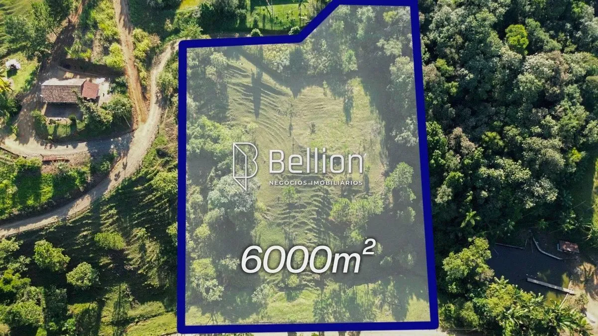 Sítio com Ribeirão e 6.000m² em Benedito Novo - Ideal para Chalés ou Moradia!