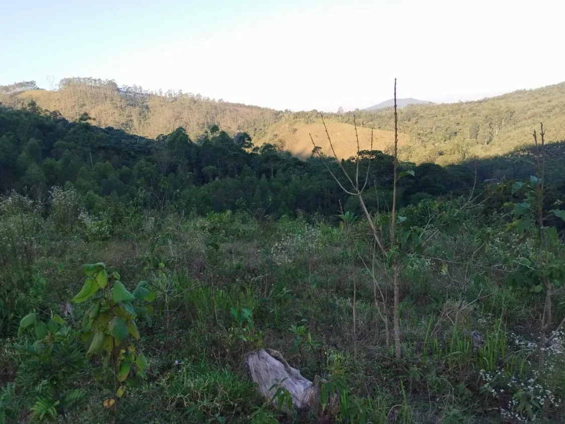 Imagem 4 Alqueires à Venda em Piracaia ? Ótima Localização!