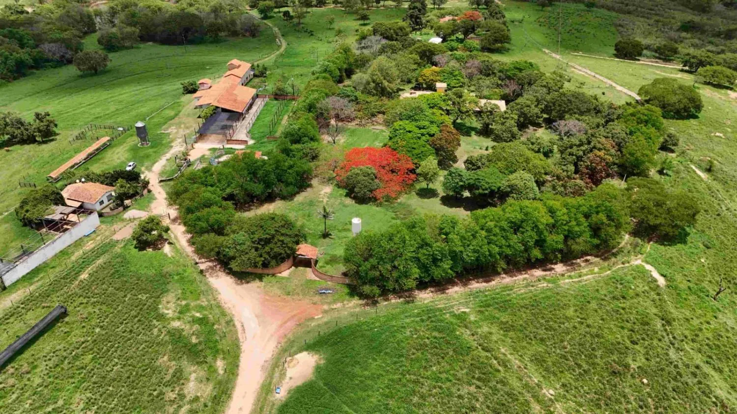 Imagem FAZENDA À VENDA - MORRO DA GARÇA (MG) 165 hectares de área total,