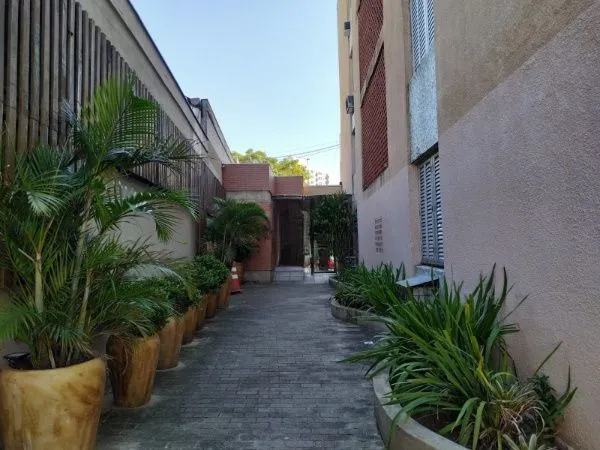 Imagem Apartamento no bairro Medianeira de 3 dormitórios DESOCUPADO