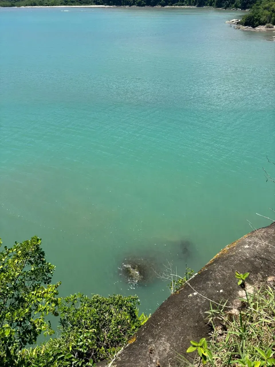 Imagem Terreno à Venda, 5500 metros em Ilha a Venda  - Paraty
