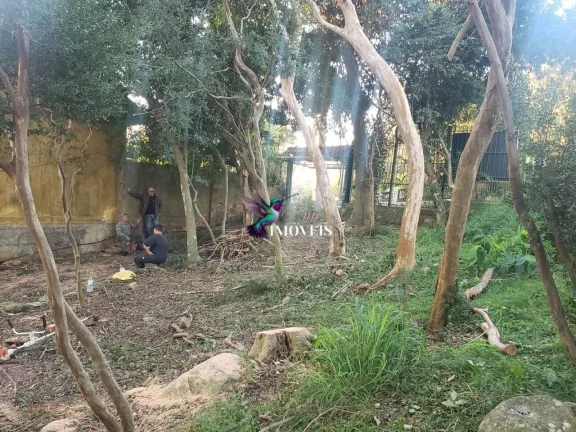 Imagem Terreno em Vila Assunção, Porto Alegre/RS