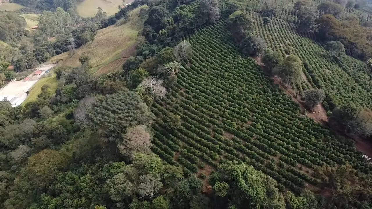 Imagem Sítio 3,63 ha à venda em Primos, Campestre