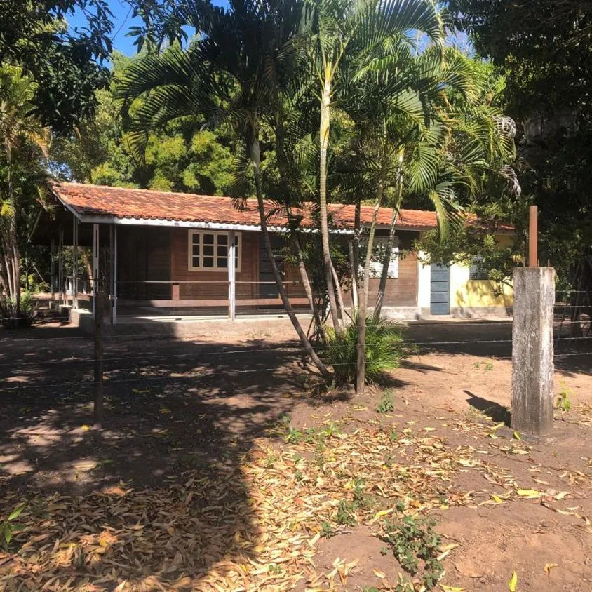 Imagem FAZENDA À VENDA - VÁRZEA DA PALMA (MG) 313 hectares de área total